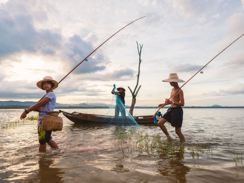 Hành động bắt cá trong mơ cho thấy bạn đang chủ động nắm bắt cơ hội làm giàu cực lớn.
