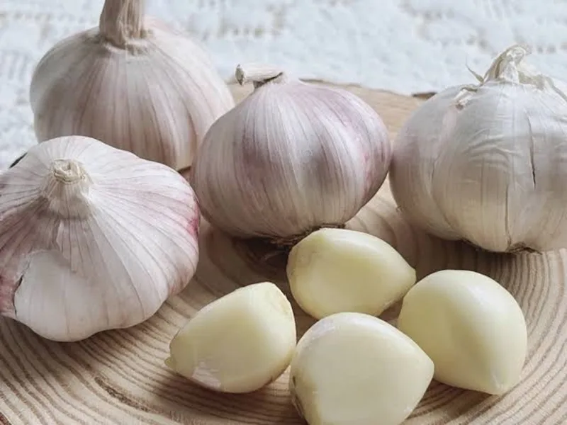 Sử dụng tỏi đúng cách và đúng liều lượng mang lại nhiều lợi ích tuyệt vời cho sức khỏe.